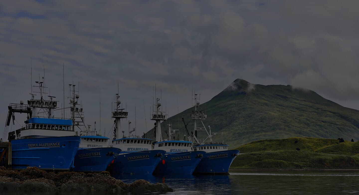 Fishing ships in Bering Sea Hero image displayes fishing ships in Bering Sea
